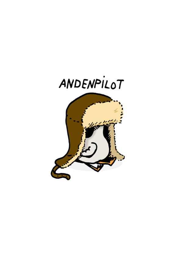 Andenpilot