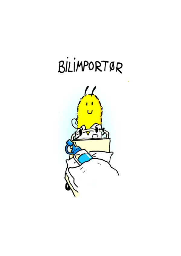 Bilimportør