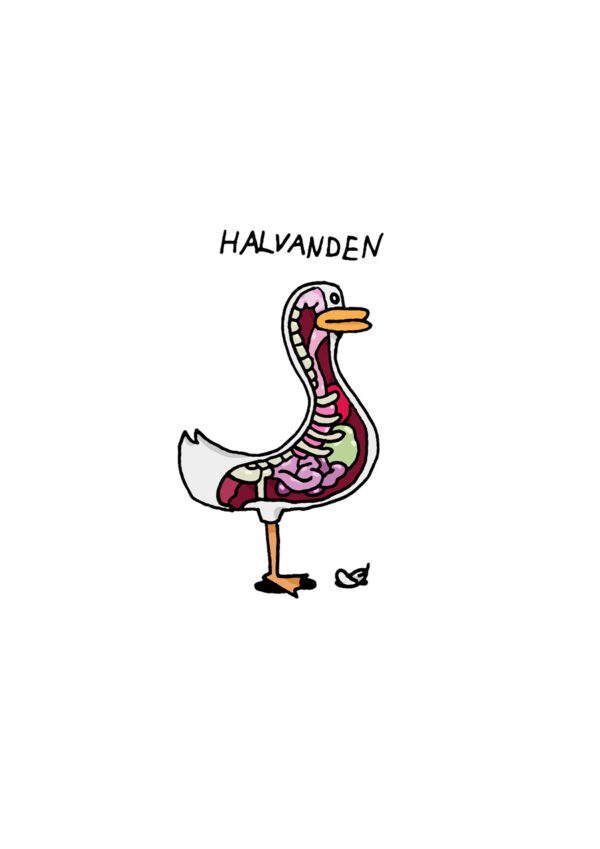 Halvanden
