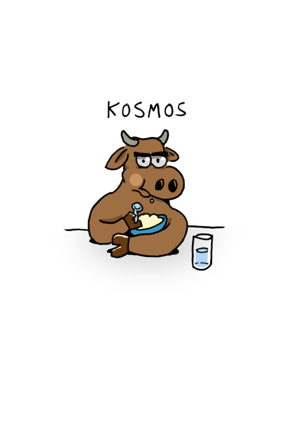 Kosmos