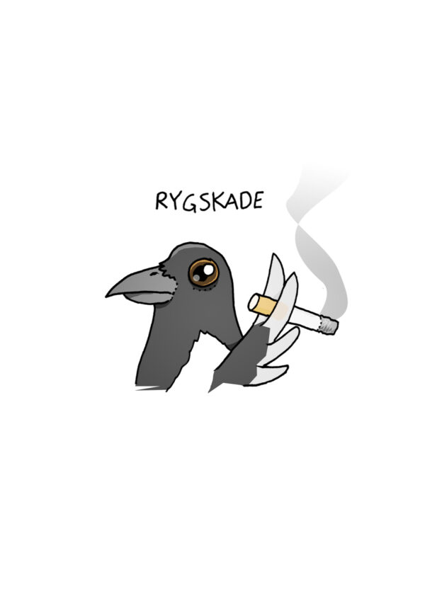 Rygskade